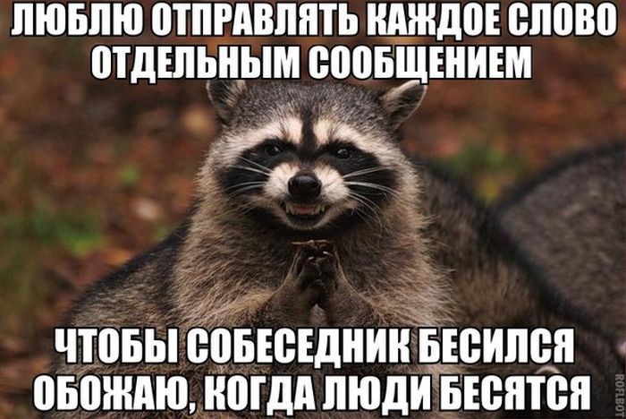 Порция картинок
