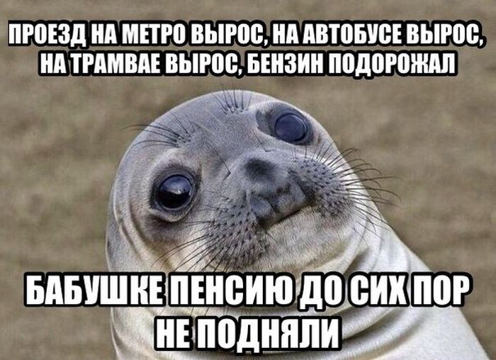 Порция картинок