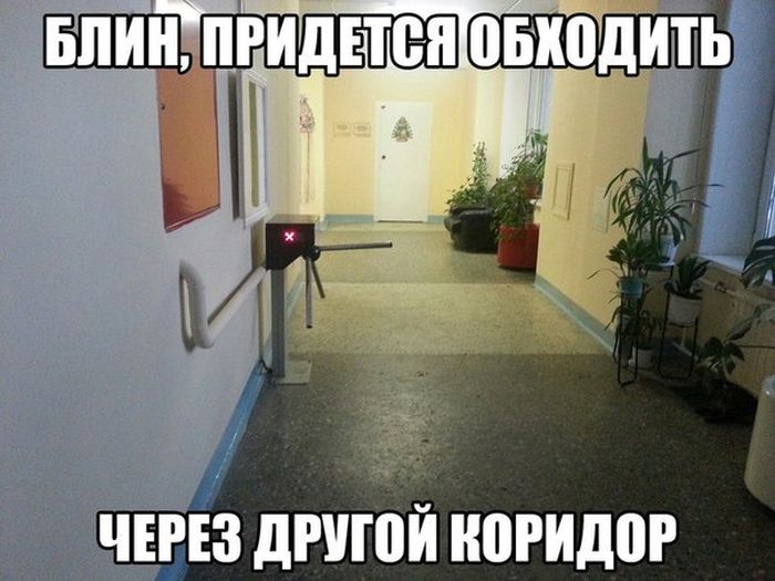 Порция картинок