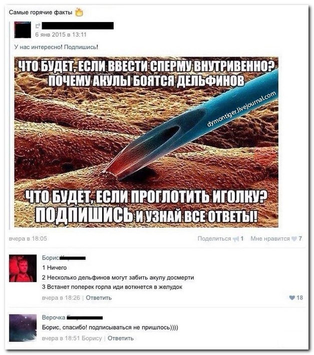 Смешные комментарии из социальных сетей