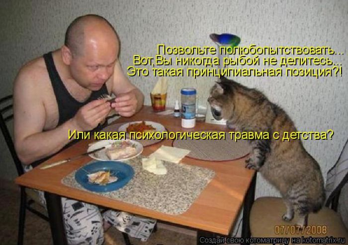 Лучшие котоматрицы недели