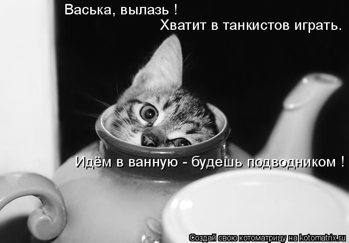 Лучшие котоматрицы недели