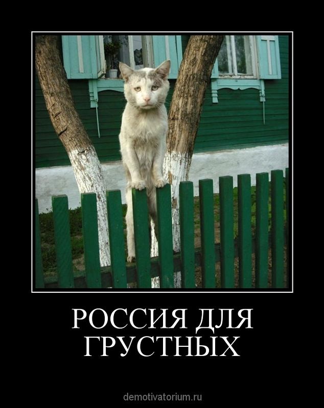 Демотиваторы