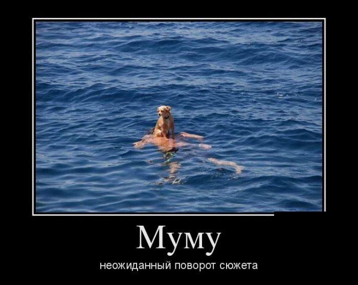 Демотиваторы