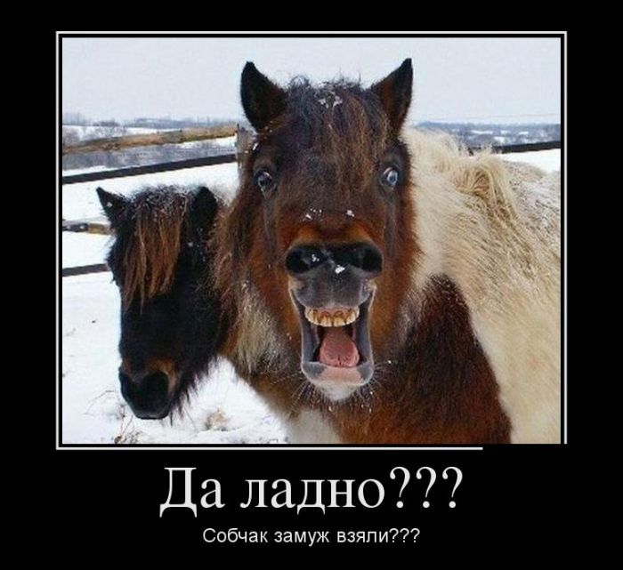 Демотиваторы