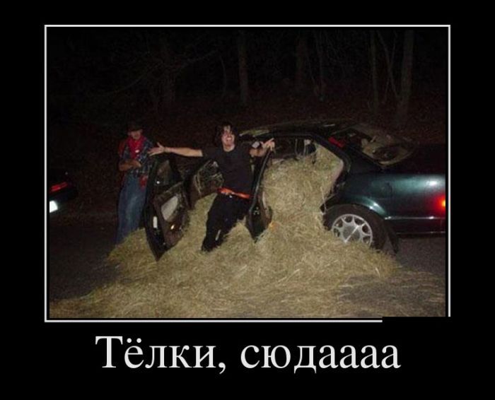 Демотиваторы