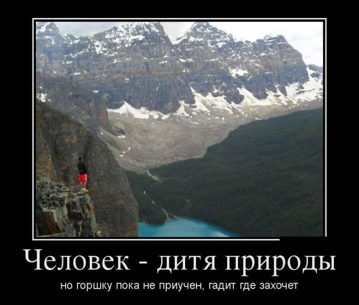 Демотиваторы