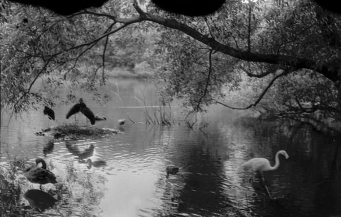 Старые фото Московского зоопарка