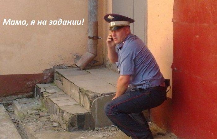Прикольные картинки