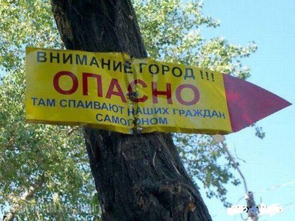 Прикольные картинки