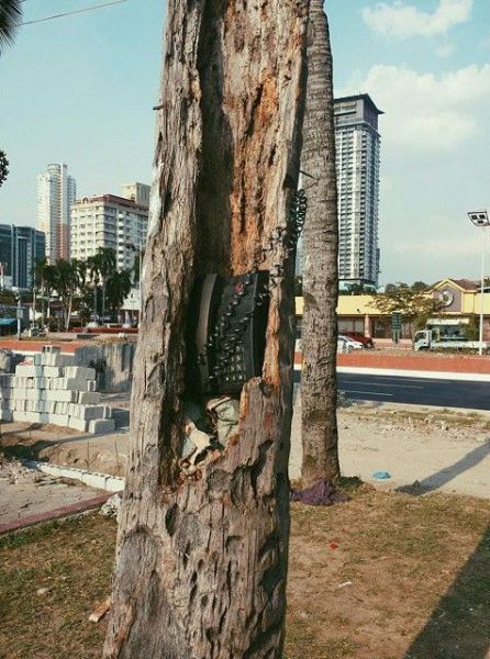 Порция картинок