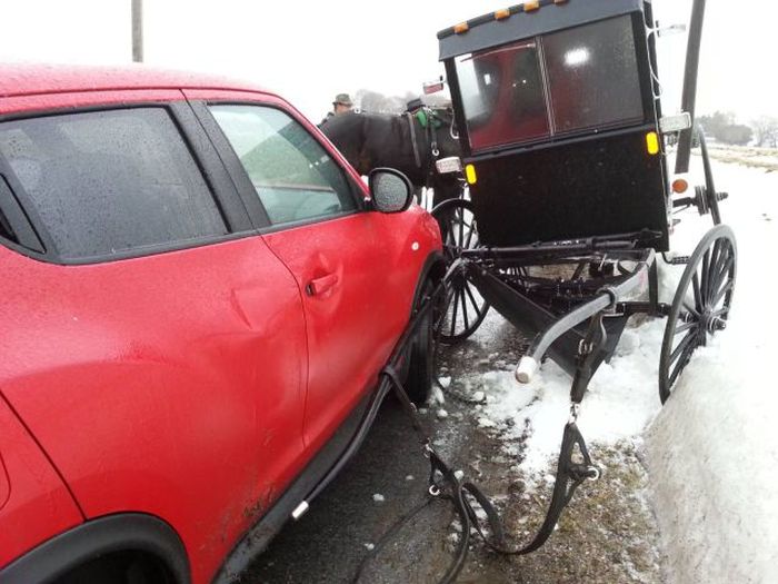 Порция картинок