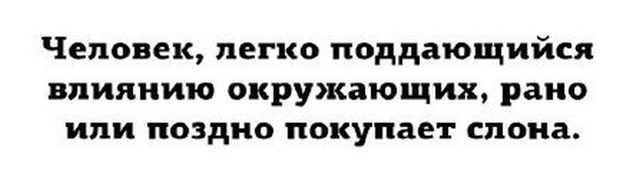 Порция картинок