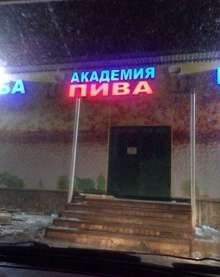 Порция картинок