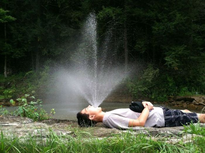 Порция картинок