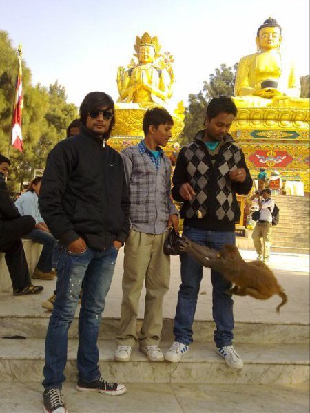 Порция картинок