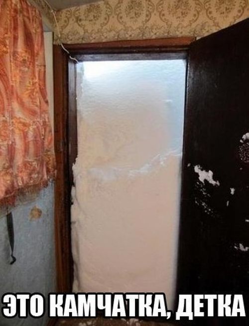 Порция картинок