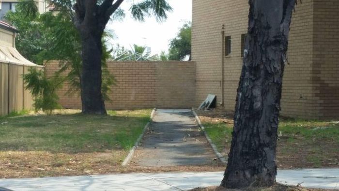 Порция картинок