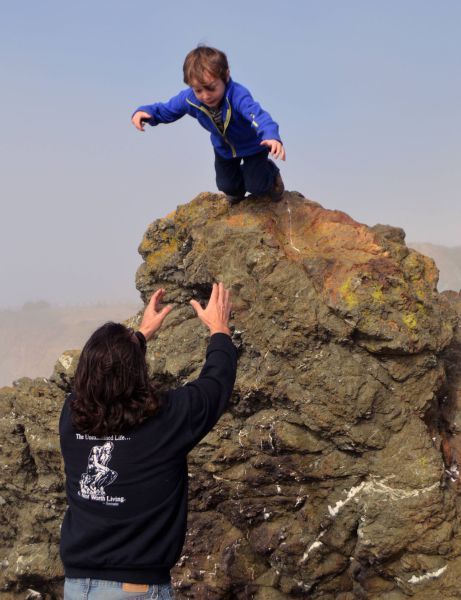 Порция картинок