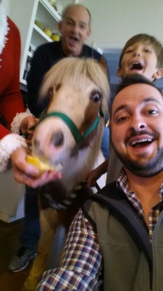 Порция картинок