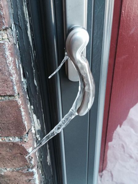 Порция картинок