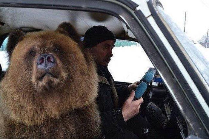 Больше, чем просто фото