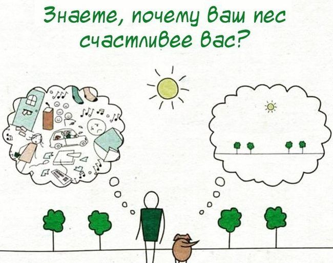 Смешные комиксы