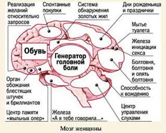 Прикольные картинки