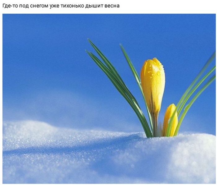 Прикольные картинки