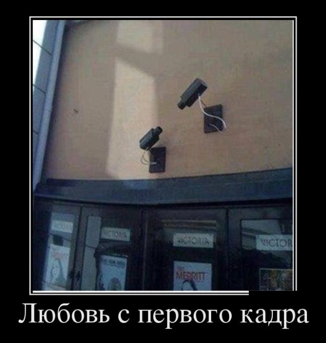 Демотиваторы