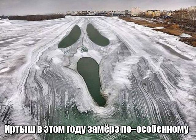 Прикольные картинки