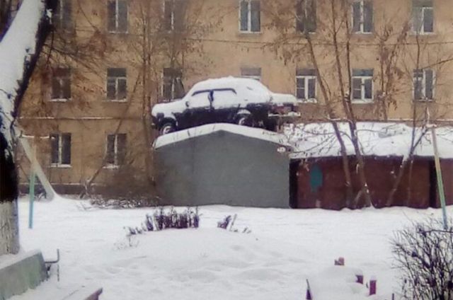 Прикольные картинки