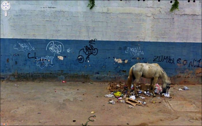 Странные фотографии с Google Street