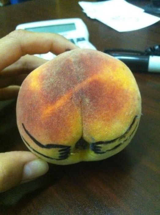 Прикольные картинки