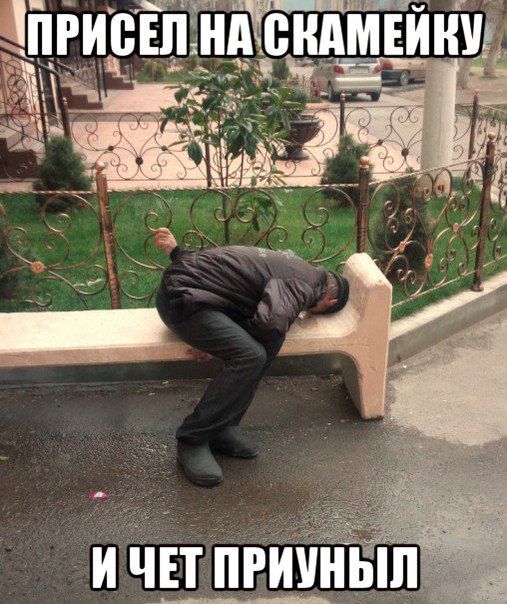 Порция картинок