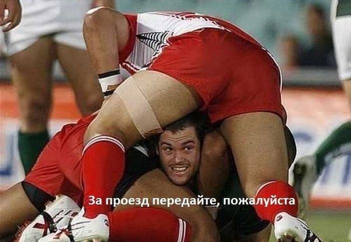 Порция картинок