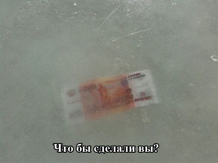Порция картинок