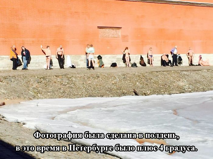 Порция картинок