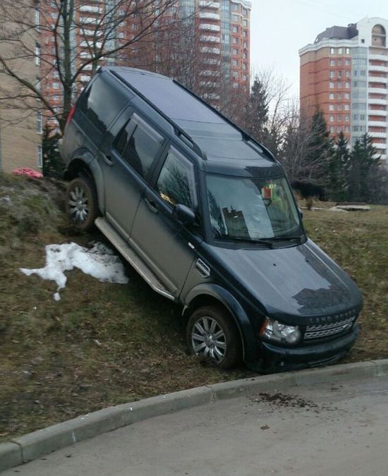 Порция картинок