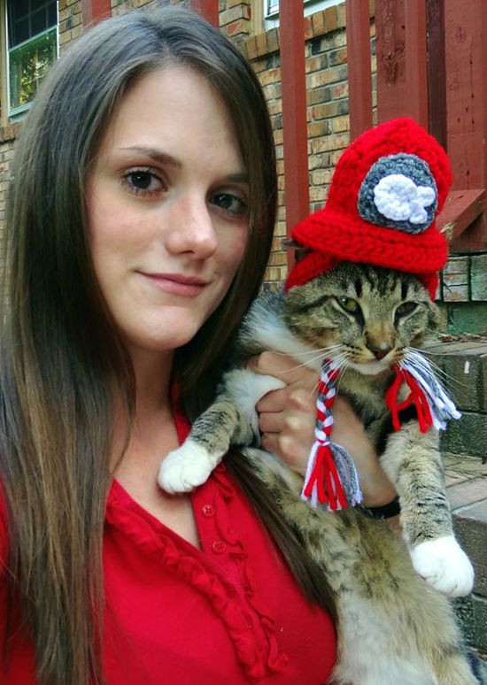 Котики в шапочках