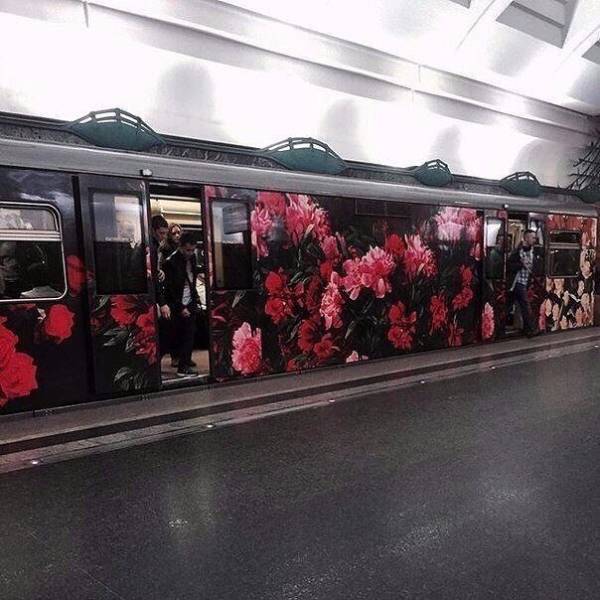Любопытные фото, которые стоит увидеть всем