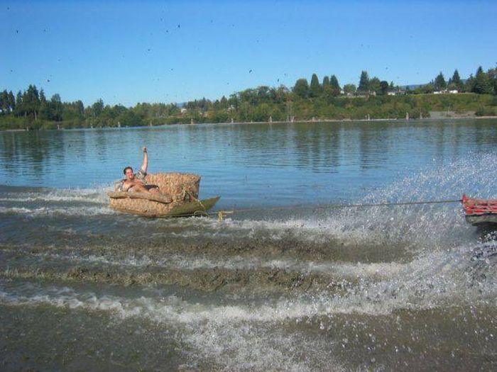 Прикольные картинки