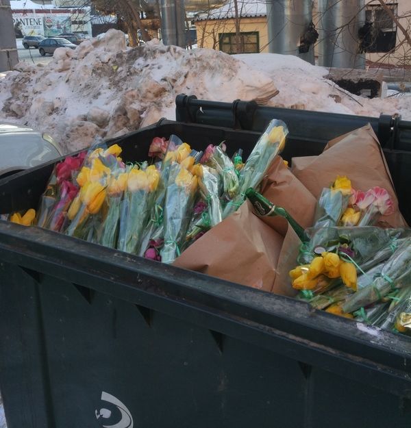 Прикольные картинки