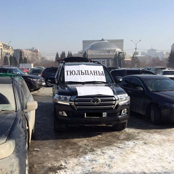 Прикольные картинки