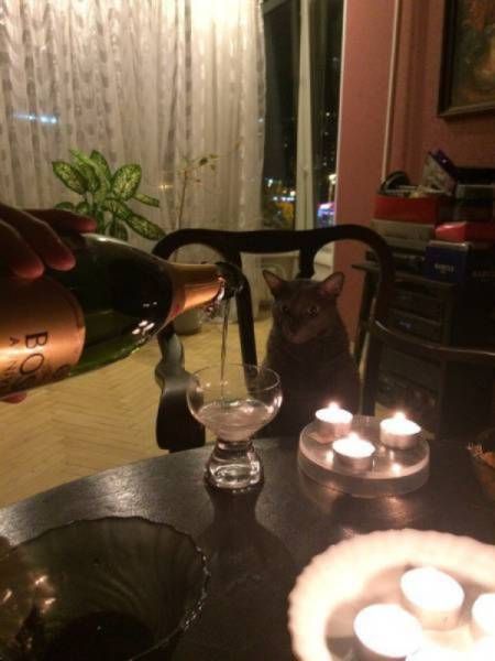 Прикольные картинки