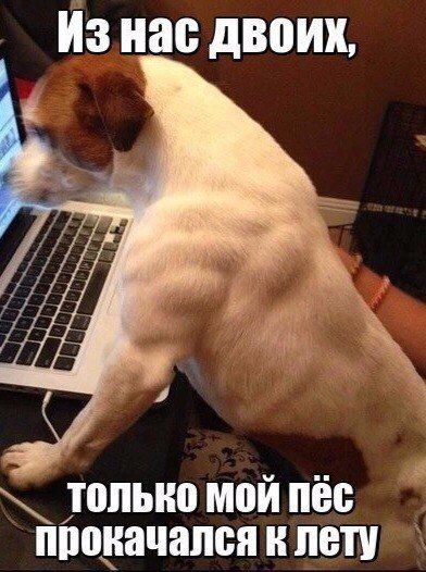 Прикольные картинки