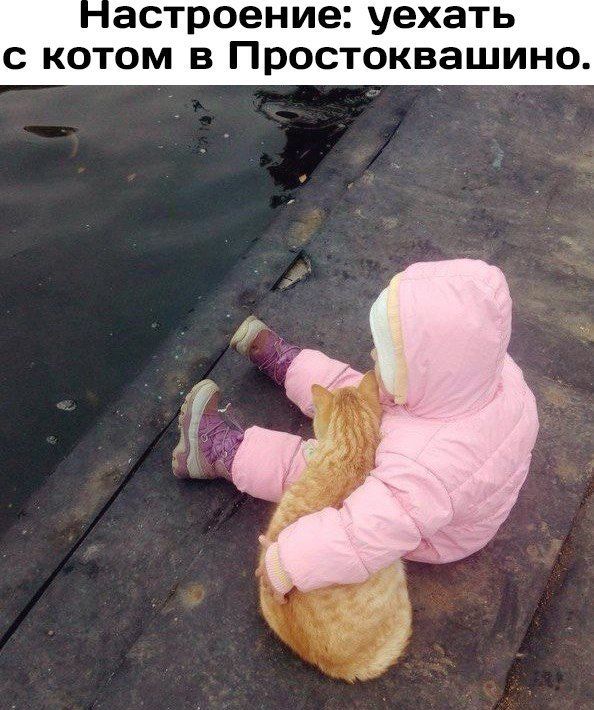Прикольные картинки