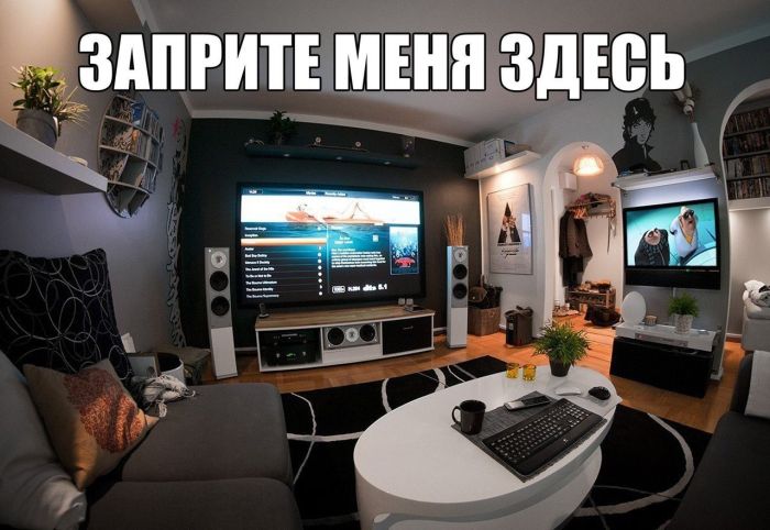 Прикольные картинки