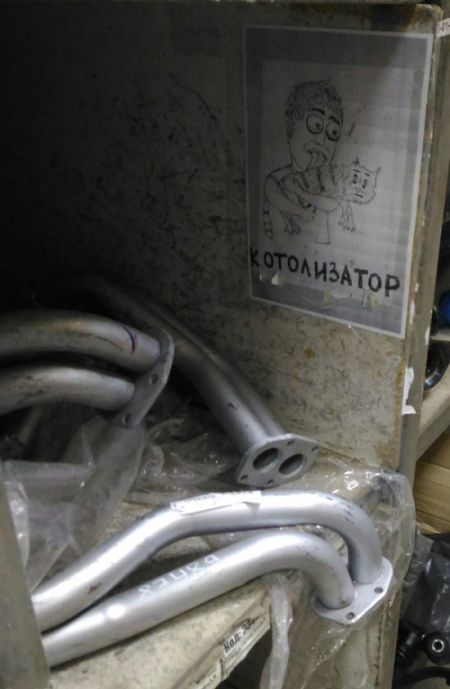 Прикольные картинки