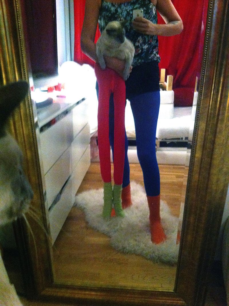 Кошатники напяливают на своих питомцев колготы